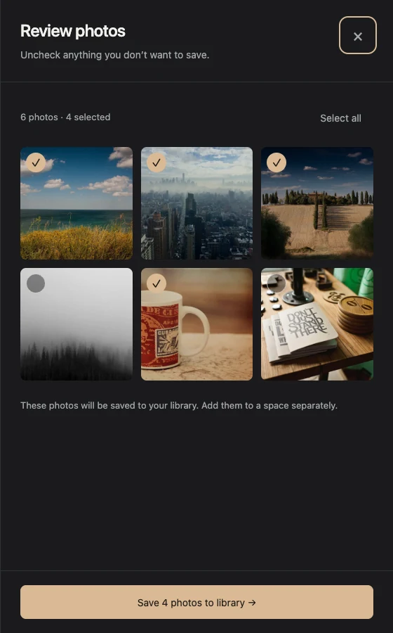 A review list of checked photographs before saving